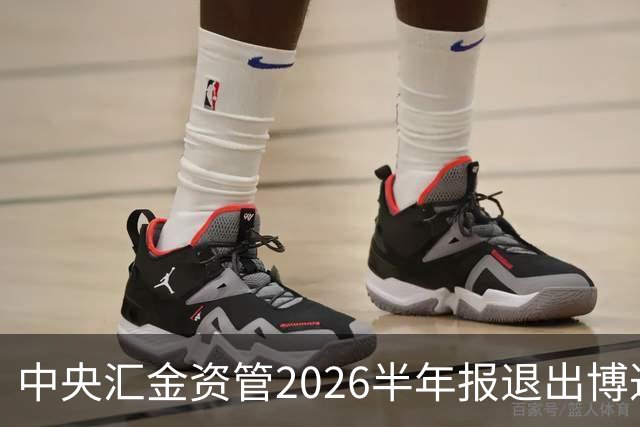 中央汇金资管2026半年报退出博迁新材前十大股东名单