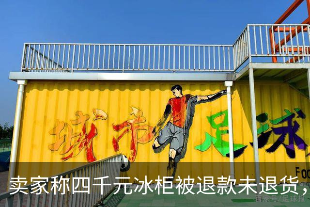 卖家称四千元冰柜被退款未退货，实地探访发现买家仍在使用 买家回应：冰柜未达到承诺温度